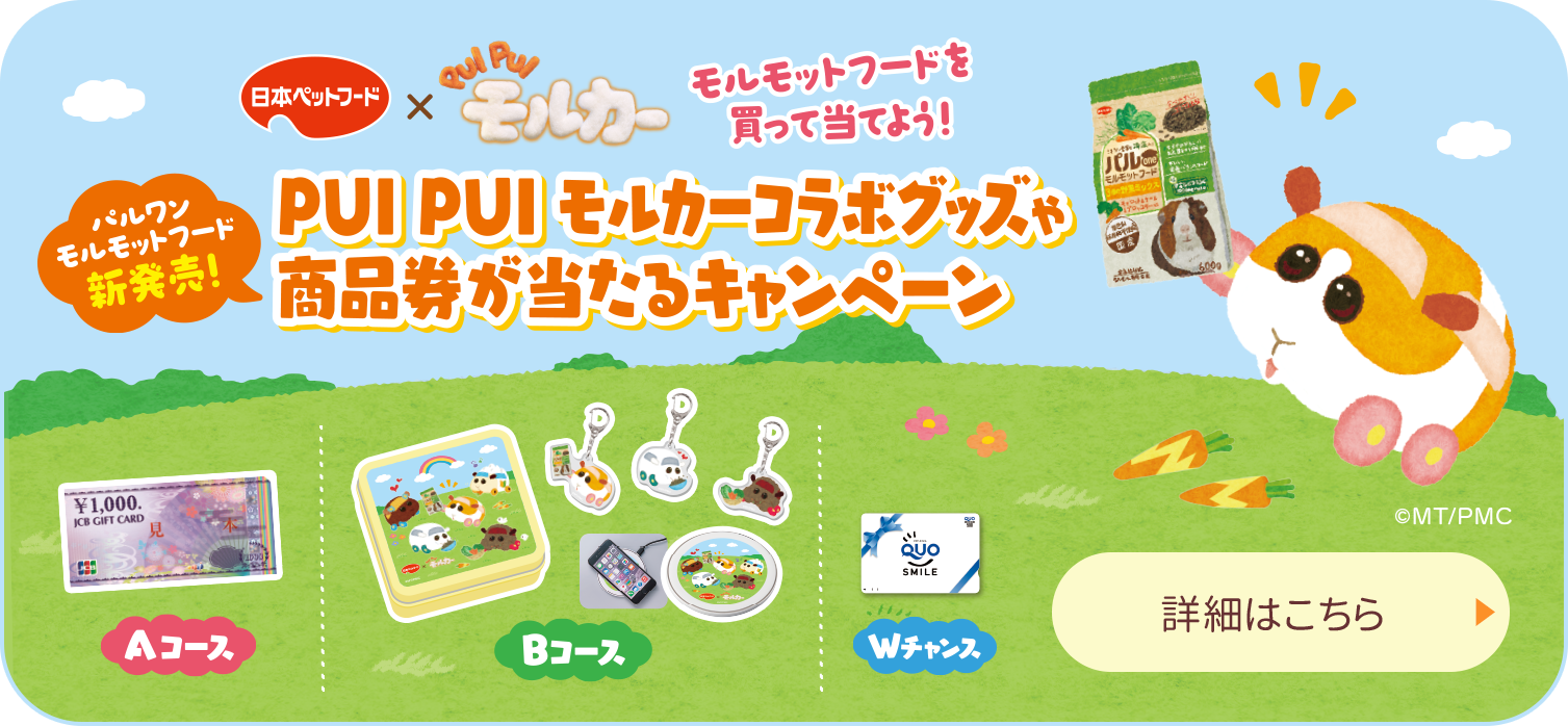 キャンペーン