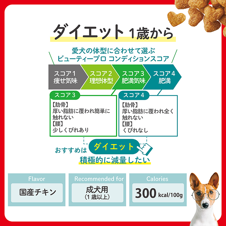 ビューティープロ ドッグ ダイエット 1歳から | ドッグフード | 日本