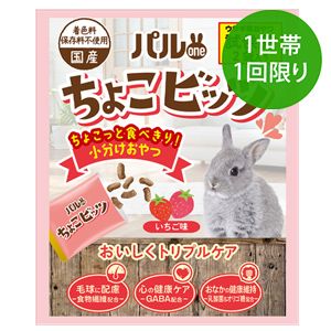 【1世帯1回限り】パルワン ちょこビッツ いちご味 試供品