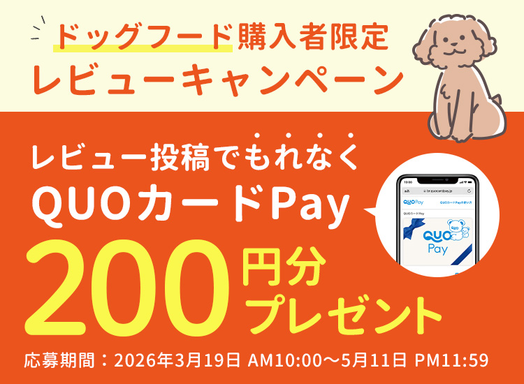 レビューキャンペーン