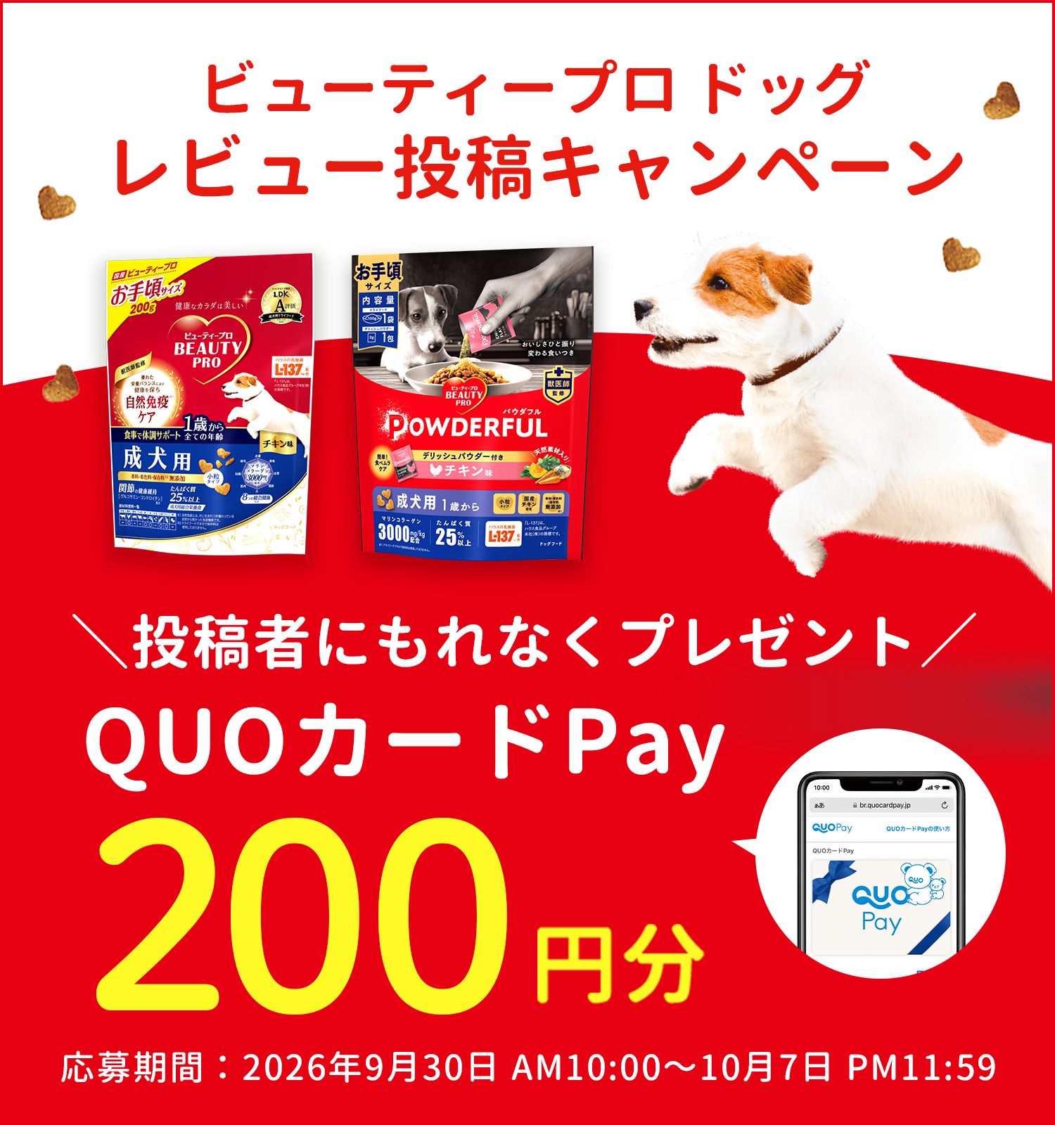 レビューキャンペーン