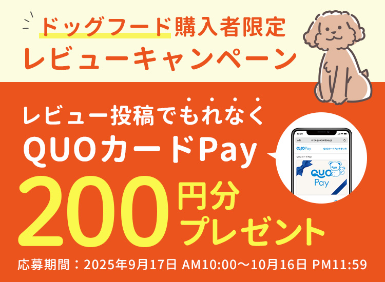 レビューキャンペーン