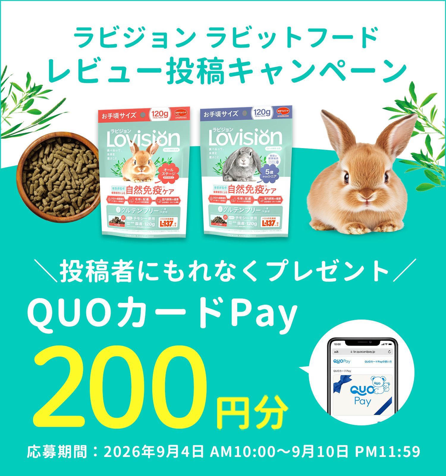 レビューキャンペーン