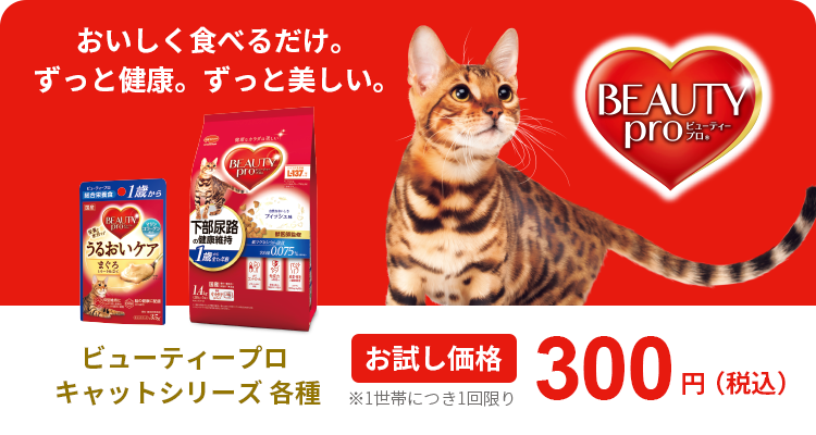 ビューティープロ キャット