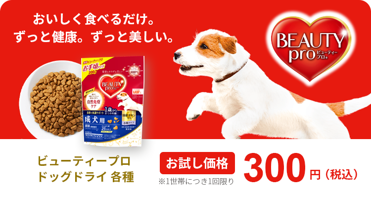 ビューティープロ ドッグ